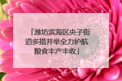 潍坊滨海区央子街道多措并举全力护航粮食丰产丰收