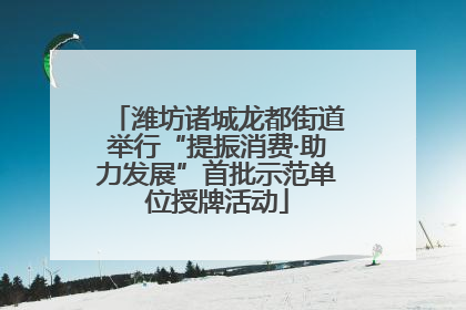 潍坊诸城龙都街道举行“提振消费·助力发展”首批示范单位授牌活动