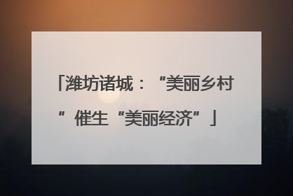 潍坊诸城：“美丽乡村”催生“美丽经济”