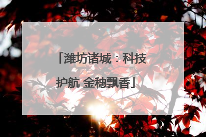 潍坊诸城：科技护航 金穗飘香