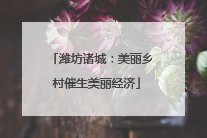 潍坊诸城：美丽乡村催生美丽经济