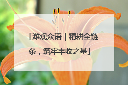 潍观众语｜精耕全链条，筑牢丰收之基