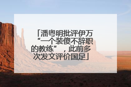 潘粤明批评伊万“一个装傻不辞职的教练”，此前多次发文评价国足