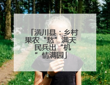 潢川县：乡村果农“愁”满天  民兵出“机”情满园