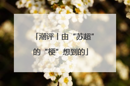 潮评丨由“苏超”的“梗”想到的