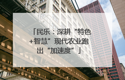 民乐：深耕“特色+智慧”现代农业跑出“加速度”