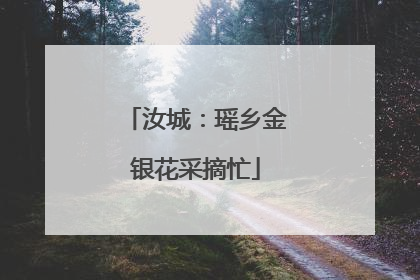汝城：瑶乡金银花采摘忙