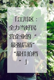 江川区：全力当好民营企业的“最强后盾”“最佳拍档”