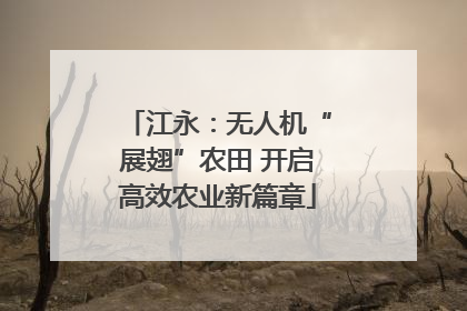 江永：无人机“展翅”农田 开启高效农业新篇章