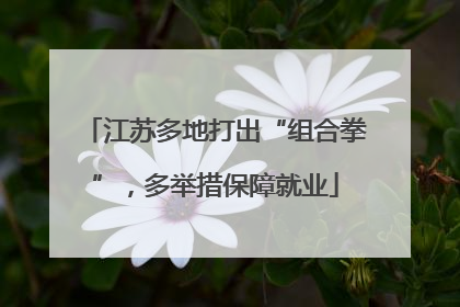 江苏多地打出“组合拳”，多举措保障就业