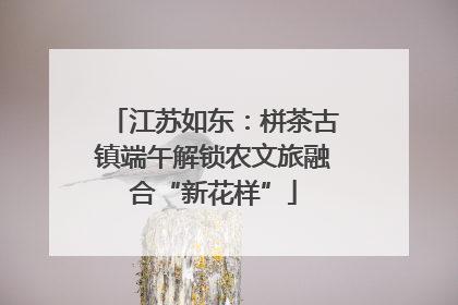 江苏如东：栟茶古镇端午解锁农文旅融合“新花样”