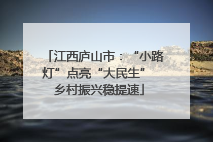 江西庐山市：“小路灯”点亮“大民生” 乡村振兴稳提速