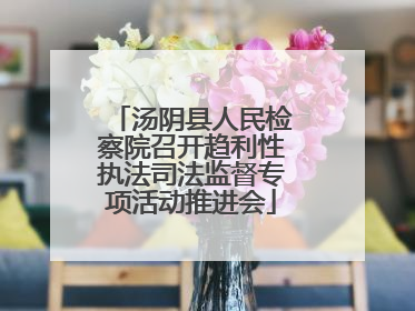 汤阴县人民检察院召开趋利性执法司法监督专项活动推进会