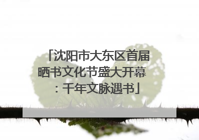 沈阳市大东区首届晒书文化节盛大开幕：千年文脉遇书