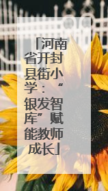 河南省开封县街小学：“银发智库”赋能教师成长