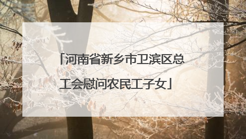河南省新乡市卫滨区总工会慰问农民工子女