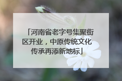 河南省老字号集聚街区开业，中原传统文化传承再添新地标
