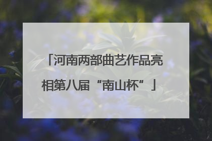 河南两部曲艺作品亮相第八届“南山杯”