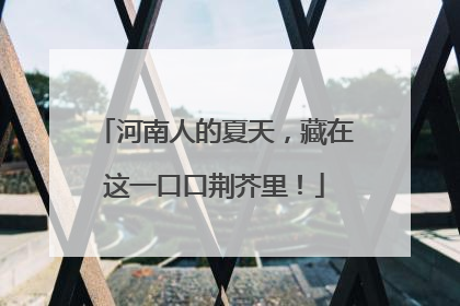 河南人的夏天，藏在这一口口荆芥里！