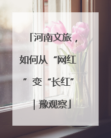河南文旅，如何从“网红”变“长红”｜豫观察