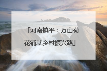 河南镇平：万亩荷花铺就乡村振兴路