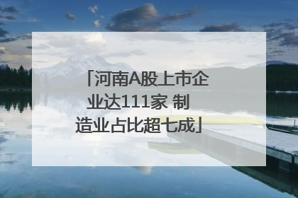 河南A股上市企业达111家 制造业占比超七成