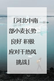 河北中南部小麦长势良好 积极应对干热风挑战