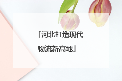 河北打造现代物流新高地