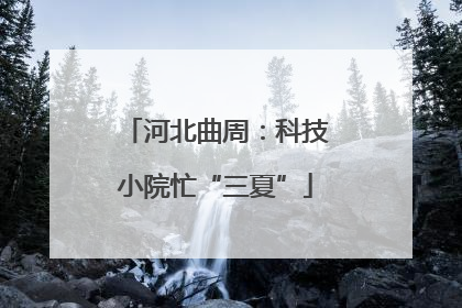 河北曲周：科技小院忙“三夏”