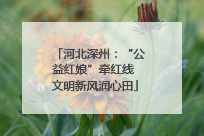 河北深州：“公益红娘”牵红线 文明新风润心田