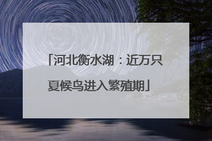 河北衡水湖：近万只夏候鸟进入繁殖期