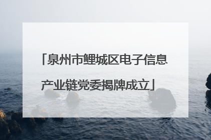 泉州市鲤城区电子信息产业链党委揭牌成立