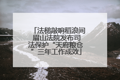 法槌敲响稻浪间 眉山法院发布司法保护“天府粮仓”三年工作成效