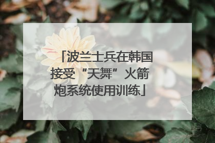 波兰士兵在韩国接受“天舞”火箭炮系统使用训练