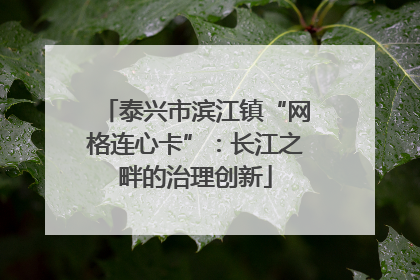 泰兴市滨江镇“网格连心卡”：长江之畔的治理创新