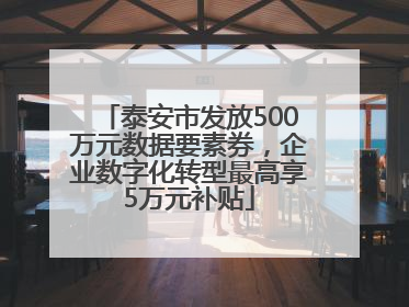泰安市发放500万元数据要素券，企业数字化转型最高享5万元补贴