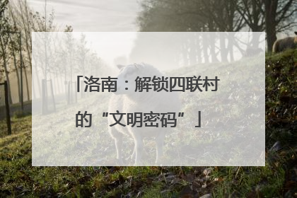 洛南：解锁四联村的“文明密码”