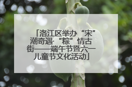 洛江区举办“宋”潮奇遇·“粽”情古街——端午节暨六一儿童节文化活动
