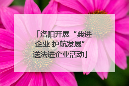 洛阳开展“典进企业 护航发展”送法进企业活动