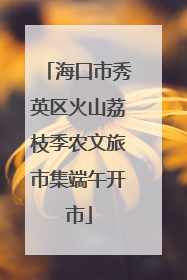 海口市秀英区火山荔枝季农文旅市集端午开市