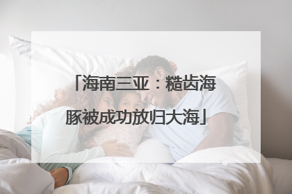 海南三亚：糙齿海豚被成功放归大海
