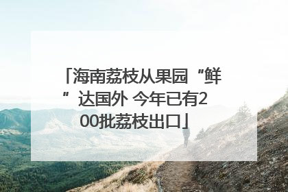 海南荔枝从果园“鲜”达国外 今年已有200批荔枝出口