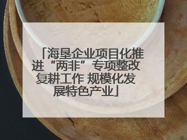 海垦企业项目化推进“两非”专项整改复耕工作 规模化发展特色产业