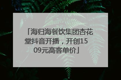 海归海餐饮集团杏花堂抖音开播，开创1509元高客单价