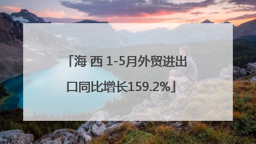 海 西 1-5月外贸进出口同比增长159.2%