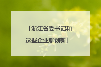 浙江省委书记和这些企业聊创新