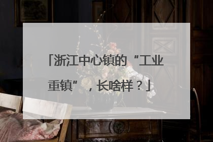 浙江中心镇的“工业重镇”，长啥样？
