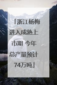 浙江杨梅进入成熟上市期 今年总产量预计74万吨