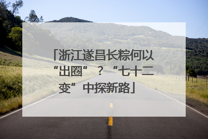 浙江遂昌长粽何以“出圈”？“七十二变”中探新路