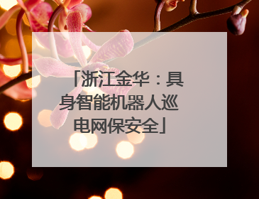 浙江金华：具身智能机器人巡电网保安全